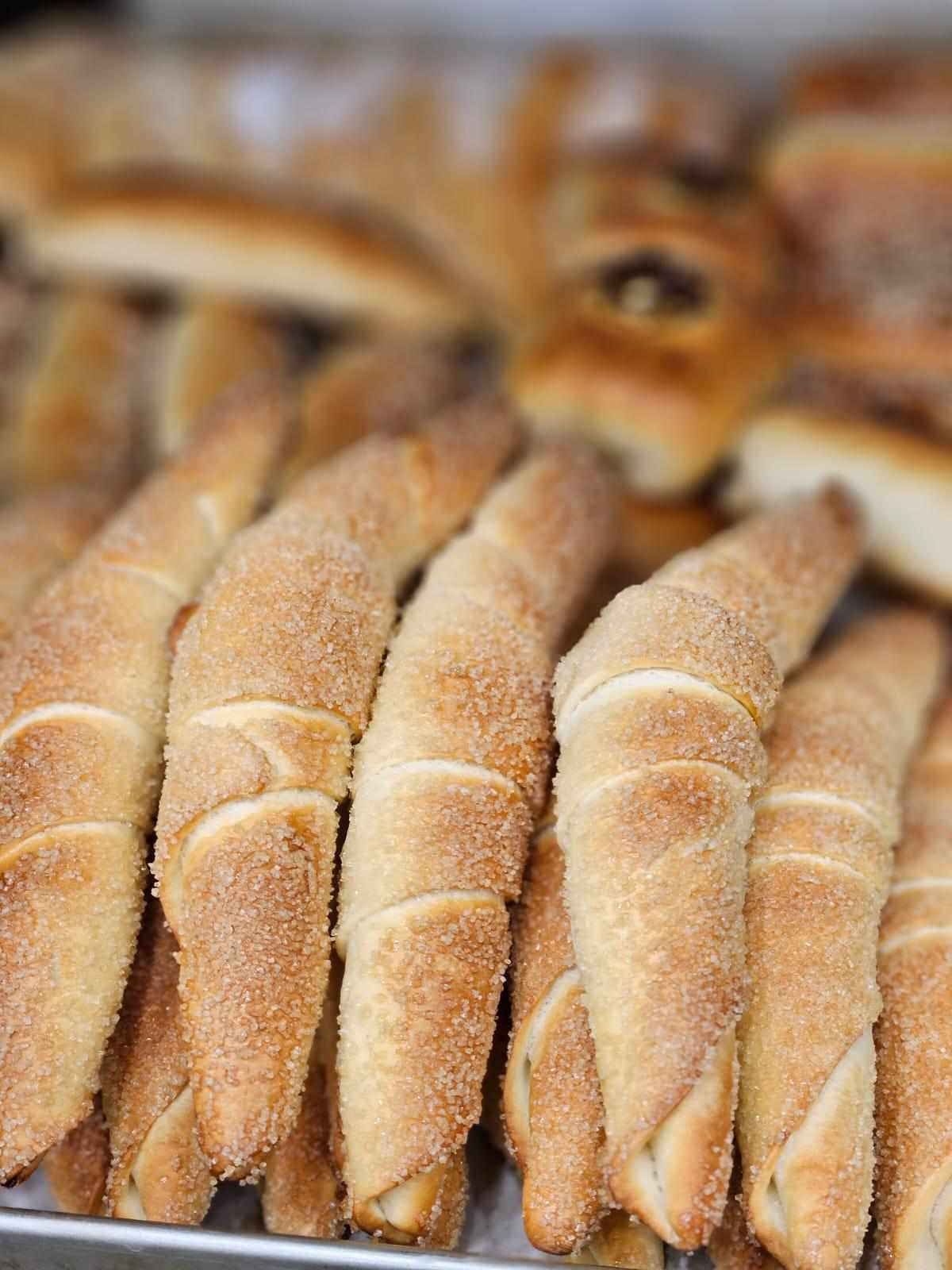 491162861_1223291356473027_5029064220030069643_n